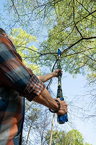 WILD BADGER POWER Cordless Pole Saw 20V 8'' Electric 2.0Ah with Telescoping Pole, 0° to 30° Adjustable Head, Battery and Charger included - style: 20V