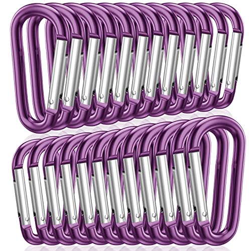 STURME 2" Aluminum D Ring Carabiners Clip D Shape Spring Loaded Gate Small Keychain Carabiner Clip Set Outdoor Camping Mini Lock Snap Hooks Spring Link Key Chain Durable Improved 24 PCS - color: Purple
