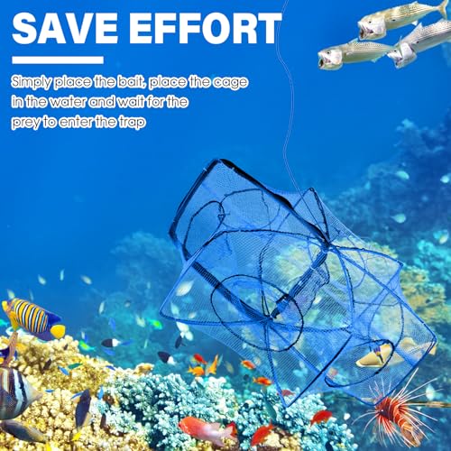 Windyun 3 Pcs Folded Fish Trap Includes Landing Net with Telescoping Pole Handle Cylindrical Hexagon Bait Bag Rope Bait Traps for Fishing Crab Crawfish Shrimp Lobster Accessories