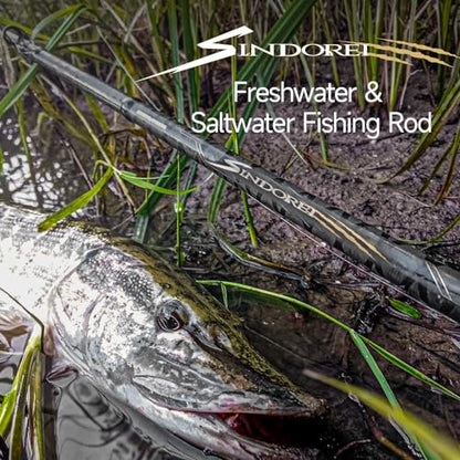 HANDING SINDOREI Heavy Fishing Rod, 2-Piece Heavy Casting & Spinning Rod | Big Game Rod Suitable for Swimbaits Jigs Catfish Musky Striper, Freshwater & Inshore Saltwater - size: 7'0''- Heavy - 20-40LB