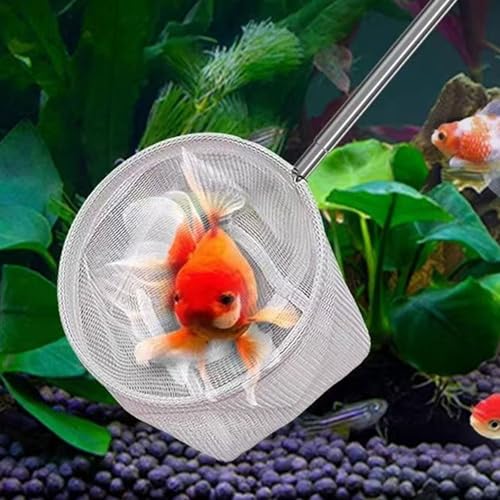 Fishing Landing Net with Telescoping Handle, Fishing Landing Net Freshwater, Bass, Trout Net, Compact Fishing Net for Catching Fish Shrimp and Aquariums Water Plant - color: Madoka