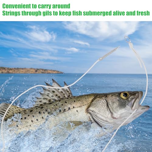 Soulchen 2 PCS 10 Ft 550lb Glow in The Dark Paracord Fishing Stringer Fish Holder with Stainless Steel Fish Spike and 1 Inch Split Ring - color: White,Glow in Blue