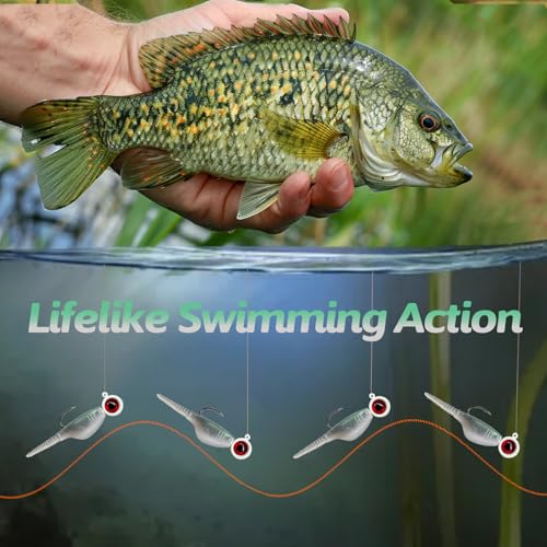 Crappie Lures Kit - Soft Plastic Lures for Trout, Bass, Panfish & Bluegill - 24 Packs - color: Green-pumpkin