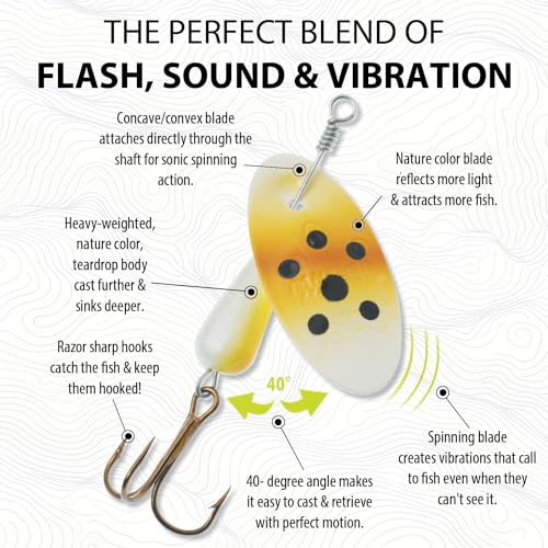 Panther Martin Nature Series Teardrop Spinners Fishing Lure Catches Trout, Walleye, Largemouth Bass, Perch, Crappie, Pickerel, Grayling and More. - color: Brown Trout, size: 4 (1/8 oz)