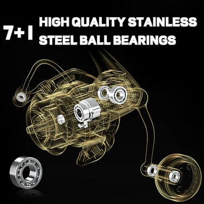 Ashconfish DF Series Spinning Reel Saltwater & Freshwater Fishing Reel, Lightweight Nylon/Fiberglass Frame, 7+1BB, 5.2:1 Gear Ratio,Long-Distance Casting DF - size: 3000, style: Shallow Spool Line Cup(dfb)