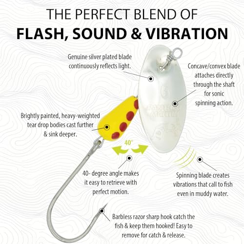 Panther Martin PM Single Hook Barbless Teardrop Spinners Fishing Lure Catches Trout, Perch, Crappie, Bluegill, Warmouth, Pumpkinseed & more - color: Barbless Silver, size: 6 (1/4 oz.)