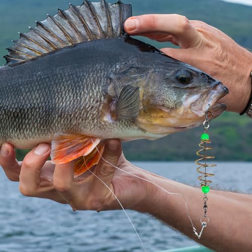 Toddmomy 12Pcs Carp Fishing Bait Cages, Carbon Steel Spring Feeder with Luminous Beads, Bait Holder for Night Freshwater Saltwater Fishing