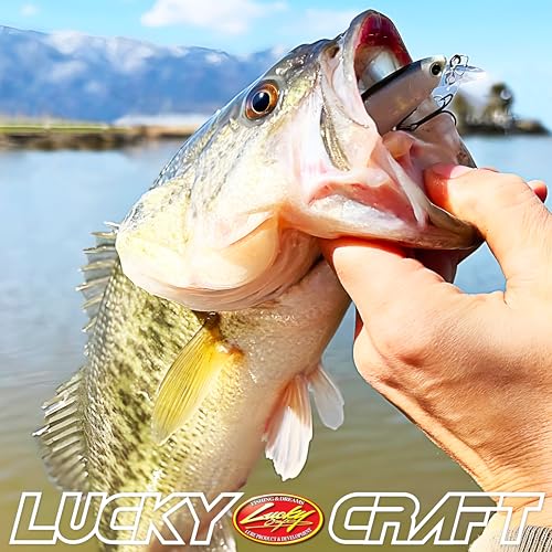 LUCKY CRAFT Pointer 78SP Fishing Lures, 3” Jerkbait Freshwater Bass & Trout Lures, Suspending 4ft–5ft Depth, Jerkbait with Walk-the-Dog Action, Precision Bass Fishing Gear and Accessories - color: 255 MS Ghost Wakasagi, size: PT65
