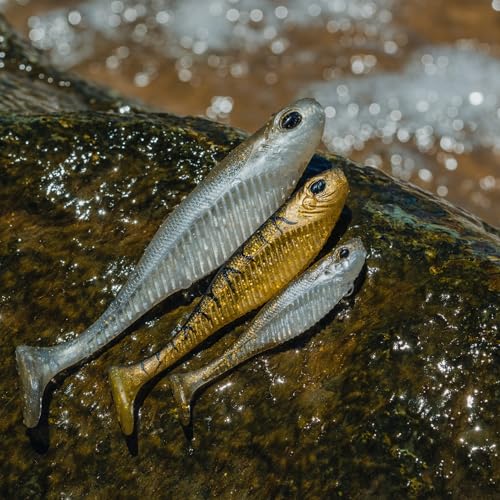 Nomad Design Live Ops Dozer 3” Minnow Unrigged Swimbait Soft Bait Lure, Slow-Speed High Vibration with Reactor-UV & Glow, Pink Floss (5 Pack), for Speckled Trout & Redfish