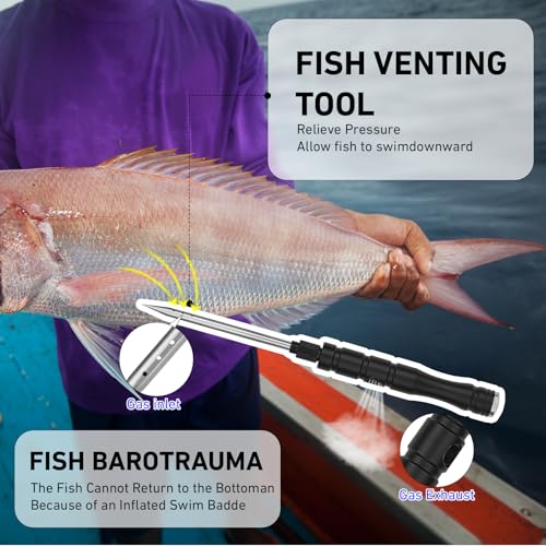 GOLDEN J Fish Venting Tool for Saltwater Fishing | Modular Design with Hidden Storage & Stainless Steel/Aluminum Build, Relieves Deep Sea Fish Pressure for Healthier Release - size: Large