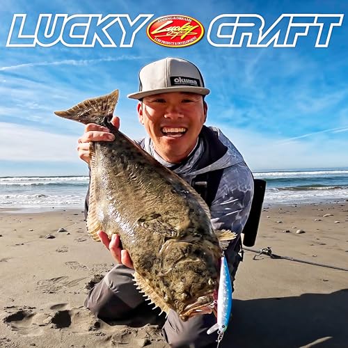 LUCKY CRAFT FlashMinnow 130MRS Saltwater Fishing Lures, Jerkbait for Halibut and Bass Fish, Slow Sinking 2-4ft, Surf Fishing Gear and Tackle Box Accessories - color: 702 Zebra Sardine