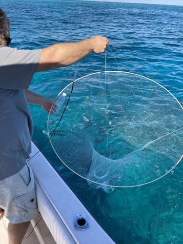 Ballyhoo Bait Net - Collapsible Hoop Net - Folds for Easy Storage