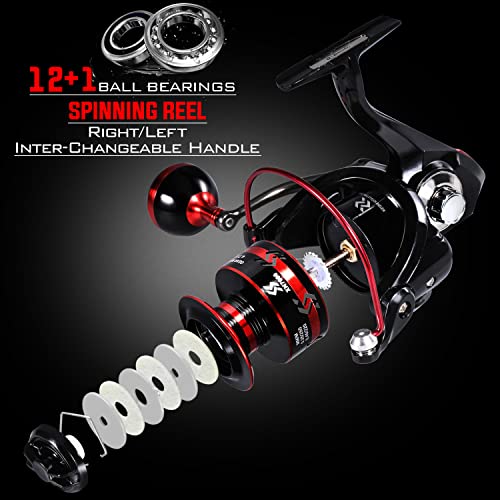 Sougayilang Fishing Pole with Spinning Reel Portable Fishing Rod Reel Combos - size: 1.8M/5.91FT Rod with 2000 Reel, style: Full Kits With Bag