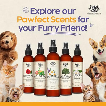 Dog Perfume Spray Long Lasting Chamomile & Lavender 8 Fl Oz, Dog Cologne Spray Long Lasting for Groomers, Calming Deodorizer Perfume for Dogs, Pet Puppy Deodorizing Fragrance by Gerrard Larriett