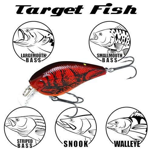 Lucky CRAF LC 1.0, Silent, Crankbait, Squarebill, Freshwater Fishing Gear, Tournament Winning, Champion Bait, Fishing Accessories, Fishing Tackle - color: 516 All Green Purple Craw