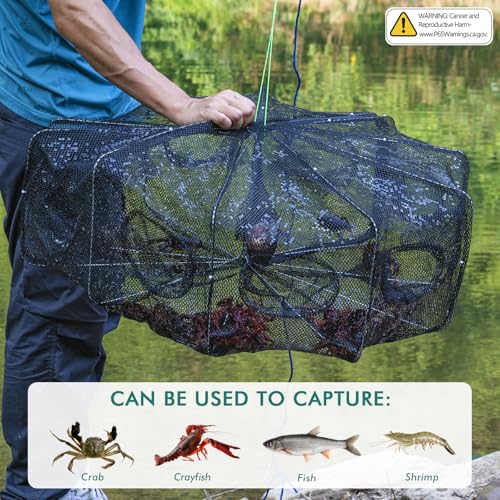 QualyQualy Fishing Bait Trap Crab Net Fishing Trap for Minnow/Crab/Shrimp/Crawdad with Rope, 6/8/10 Holes Large Space Fishing Net - size: 32*10‘’, style: 10 Holes - 1 Pcs
