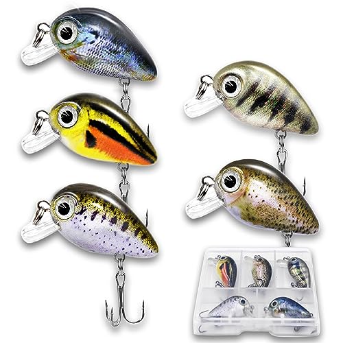 5PCS Micro Crankbait Fishing Lures Set, Lifelike 3D Eyes Hard Bait with Sharp Treble Hooks, Freshwater Saltwater Lures for Bass Trout Perch Walleye Pike, Tackle Box Included