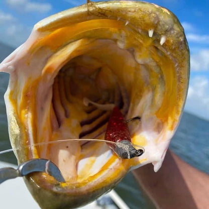 A.M. Fishing Curly Tail Jerkshad 4 Inch Soft Baits Garlic Infused,– 8 Pack – Saltwater & Freshwater Fishing Lures for Bass, Redfish, Snook, and Trout - color: Blood Diamond