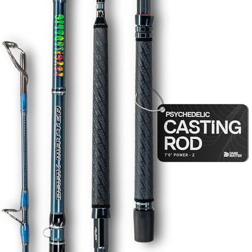 Dark Matter Psychedelic Casting Fishing Rods Medium Heavy Power X - High-Modulus M3 Carbon Nano Baitcaster Rod Saltwater and Freshwater Fishing Rods, 7ft Medium Heavy Baitcasting Rod - color: Gunmetal, size: 7'0" Power - Z
