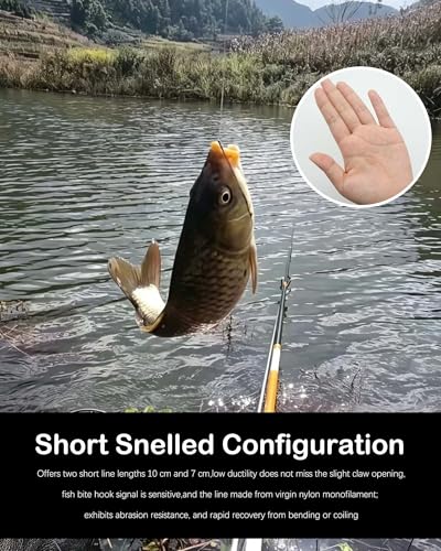 Pre-Tied Leader Hooks with Portable Plastic Board Organizer,Barb Hooks with Nylon Fishing Line (5 Packs, 10 Pieces per Pack), Sharp Double Hook Design for Carp Fishing - size: 2-6