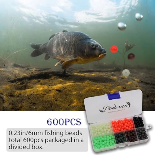 Dovesun Soft Rubber Fishing Beads Fishing Bait Eggs Accessories 7 Colors with Tackle-Box 0.23in(600pcs), 0.31in(250pcs), 0.39in(120pcs) - color: Round-0.23in/6mm*600pcs