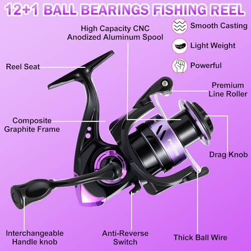 Fishing Rod and Reel Combos, Carbon Fiber Telescopic Fishing Pole Kit with Spinning Reel, Fishing Line, Fishing Lures, Travel Bag for Woman Girl Beginner Saltwater Freshwater - color: DARK PURPLE