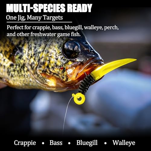 20 Pcs Crappie Jigs Kit, Scent Holder Crappie Jig Heads for Bass Panfish Walleye Fishing, 1/8oz, 1/16oz - color: 1/8oz - 20 Pcs