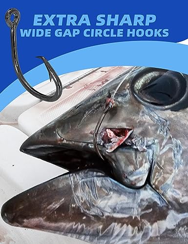 BLUEWING Wide Gap Offset Circle Hook with Big Game Stainless Steel Swivel, Live Bait, Ringed for Freshwater and Saltwater - size: 7/0 - 25pcs