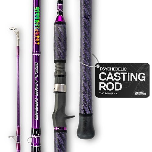 Dark Matter Psychedelic Casting Fishing Rods Medium Heavy Power X - High-Modulus M3 Carbon Nano Baitcaster Rod Saltwater and Freshwater Fishing Rods, 7ft Medium Heavy Baitcasting Rod - color: Purple, size: 7'0" Power - X
