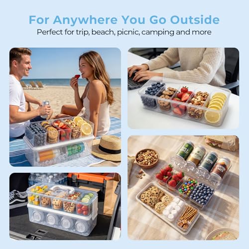 Homelove Snackle Box Container, Snack Organizer Divided Serving Tray with 2 Stainless-Steel Ice Packs, Lid with Handle, Double-layer Tray and 5-Compartment Snack Platter for Travel Party Beach Picnic - color: E