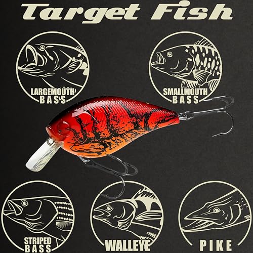 LUCKY CRAFT LC 2.5 Silent Crankbait Fishing Lures, 2-3/8” Squarebill Crankbait, Bass Lures, Floating 4ft Depth Hard Bait, Champion Freshwater Fishing Gear and Tackle Box Accessories - color: 137 TO Craw