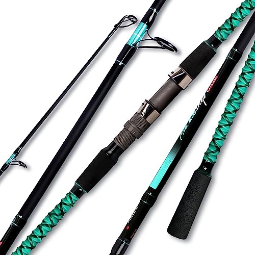 Fiblink Surf Fishing Rod Portable Travel Surf Spinning Rod 2 Piece/3 Piece/4 Piece Carbon Fiber Saltwater Fishing Rod 9'/10'/12'/13'/15' - style: 9'-spinning-4pc