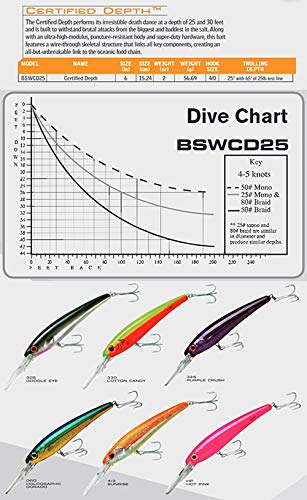 Bomber Lures Certified Depth Saltwater Grade Fishing Lure - color: Purple Crush, size: 8-Inch
