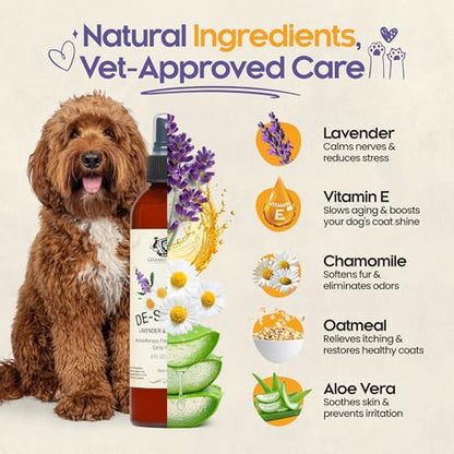 Dog Perfume Spray Long Lasting Chamomile & Lavender 8 Fl Oz, Dog Cologne Spray Long Lasting for Groomers, Calming Deodorizer Perfume for Dogs, Pet Puppy Deodorizing Fragrance by Gerrard Larriett