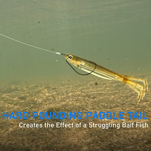 Dr.Fish Paddle Tail Swimbaits, Soft Fishing Lures for Bass Fishing 2.75-4.75 Inches, Freshwater & Saltwater Soft Plastic Baits Swim Shad Bait Minnow Lures Drop Shot - color: Brown, size: 3.06"-6 Pack