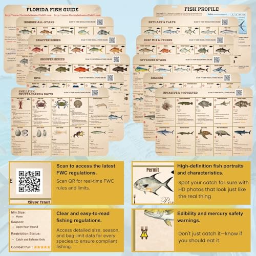 Florida Saltwater Fish & Shark ID Set - 100 Species Waterproof Guide (9.8x7.1") - 11.4" Acrylic Backplate with Integrated 11" Ruler & 40" Folding Fish Tape - Reusable Catch Log & Dry Erase Pen (black)