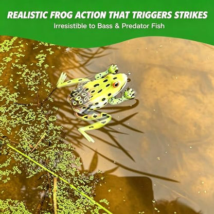 Topwater Frog Lures 5 Pack - Weedless Hollow Body Popping Frog for Bass Fishing, Lifelike Action with Double Hooks for Topwater Strikes