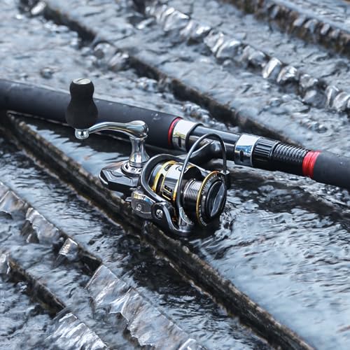 SANLIKE Spinning Reel Fishing Reel for Saltwater or Freshwater | Carbon Fiber, 40.5 Lbs Max Drag, 7+1 Stainless BB Ball Bearing, 5.2:1 Gear Ratio, Size 3000-6000 - size: 5000