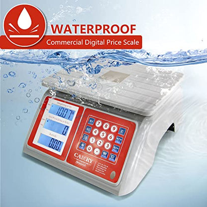 CAMRY Waterproof Commercial Food Scale, 66lb/30kg, Price Computing | IPX7 Stainless Steel Platform; Rechargeable Battery; Dual LCD Display; KG/LB Conversion; For Seafood and Farmers Market