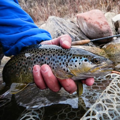 Hipicute Fly Fishing Net, Trout Net, Wooden Frame Fly Fishing Landing Net with Soft Rubber Mesh for Catch and Release, Lightweight Fish Net for Trout Bass, Fly Fishing Gear for Stream Fishing - color: White-01, style: Rectangle Holes