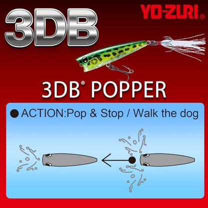 Yo-Zuri 3DB Popper, Floating, 3 Inch, 75mm, Gizzard Shad - color: Prism Ayu