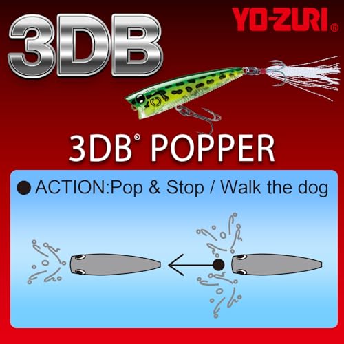 Yo-Zuri 3DB Popper, Floating, 3 Inch, 75mm, Gizzard Shad - color: Ghost Pearl Shad