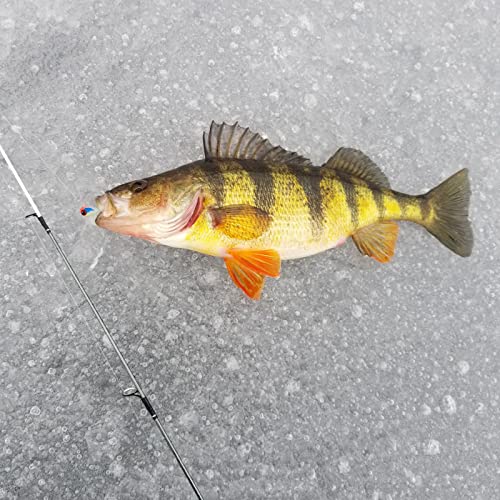 BASSDASH Tungsten Ice Fishing Jigs with Glowing Paint Fishing Lures for Winter Ice Jigging Crappie Bluegill, 6-Pack - color: BI10 - A, size: 3.2mm - 1/58 oz. - #16 Hook
