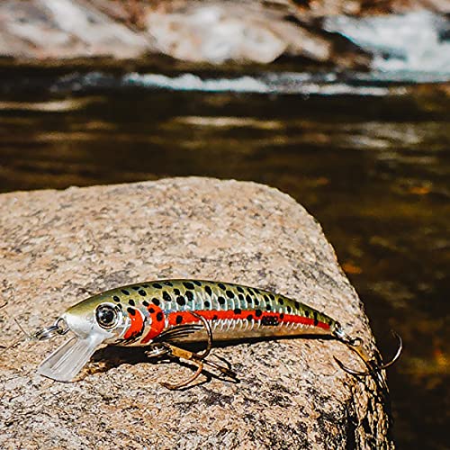 Rebel Lures Pop-R Topwater Popper Fishing Lure - color: Tennessee Shad, style: Modern