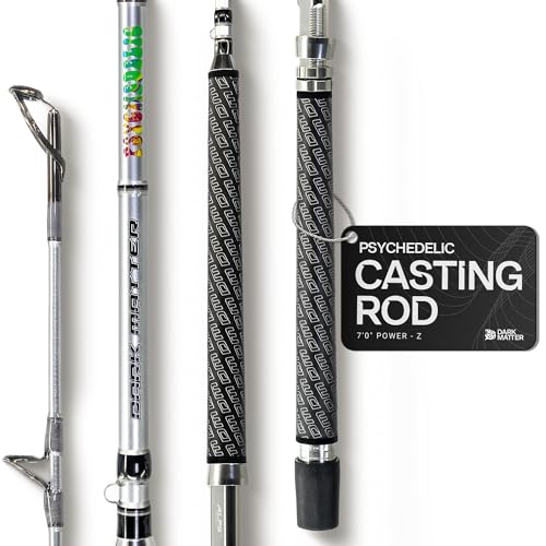 Dark Matter Psychedelic Casting Fishing Rods Medium Heavy Power X - High-Modulus M3 Carbon Nano Baitcaster Rod Saltwater and Freshwater Fishing Rods, 7ft Medium Heavy Baitcasting Rod - color: Silver, size: 7'0" Power - Z