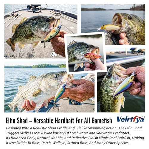 Flat Sided Japanese-Style Crankbait Elfin Shad – Medium Diving Bass Fishing Lure, Hard Bait Shad Crankbait for Freshwater Velrifya - color: 06-Sexy Shad