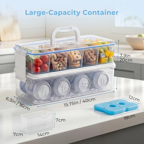 Homelove Snackle Box Container with 2 Plastic Ice Packs, Snack Organizer Divided Serving Tray with Lid and Handle, Double-layer Tray and 5-Compartment Snack Platter for Travel Party Beach Picnic - color: D