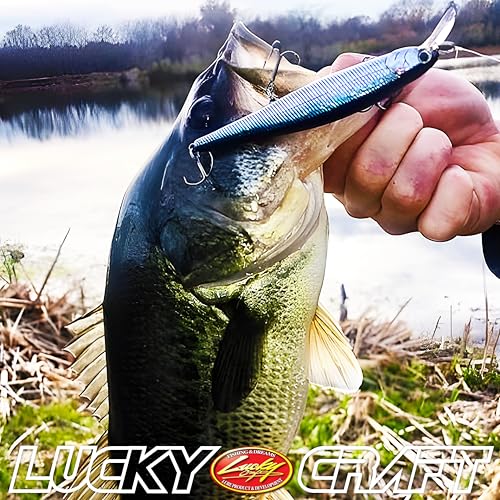 LUCKY CRAFT Slender Pointer 112 MR Fishing Lure, 4.5" Suspending Jerkbait, 4-5 ft Depth, Long Casting, Freshwater Trout and Bass Lures, Bass Fishing Gear and Tournament Hard Bait - color: 583 Ghost Minnow Sakura