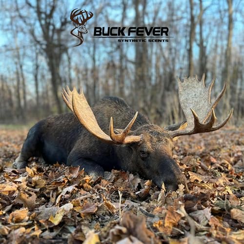 Buck Fever Moose Juice, Syntheticly Formulated Moose Attractant - Non-Spoiling Synthetic Bull Scent for Outdoor Trail Camera - Early Season Mature Buck Hunting Scents - size: 4 Fl Oz (Pack of 1)