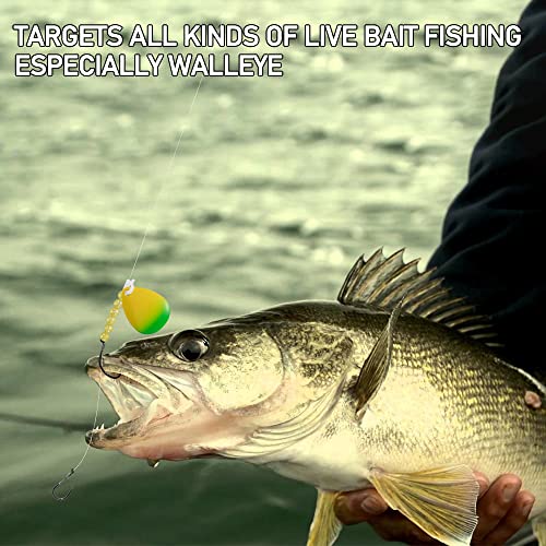 Dr. Fish 10 Pack Walleye Rigs Kit, 47 Inches, 15LB Mono Crawler Harness Walleye Float Rig Colorado Spinner Octopus Hooks for Freshwater Trolling - color: Double Hook Rig, 47", 10 Rigs